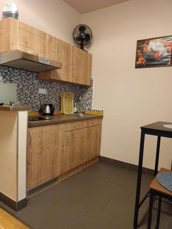 Msprivat Otel Karlovy Vary Dış mekan fotoğraf