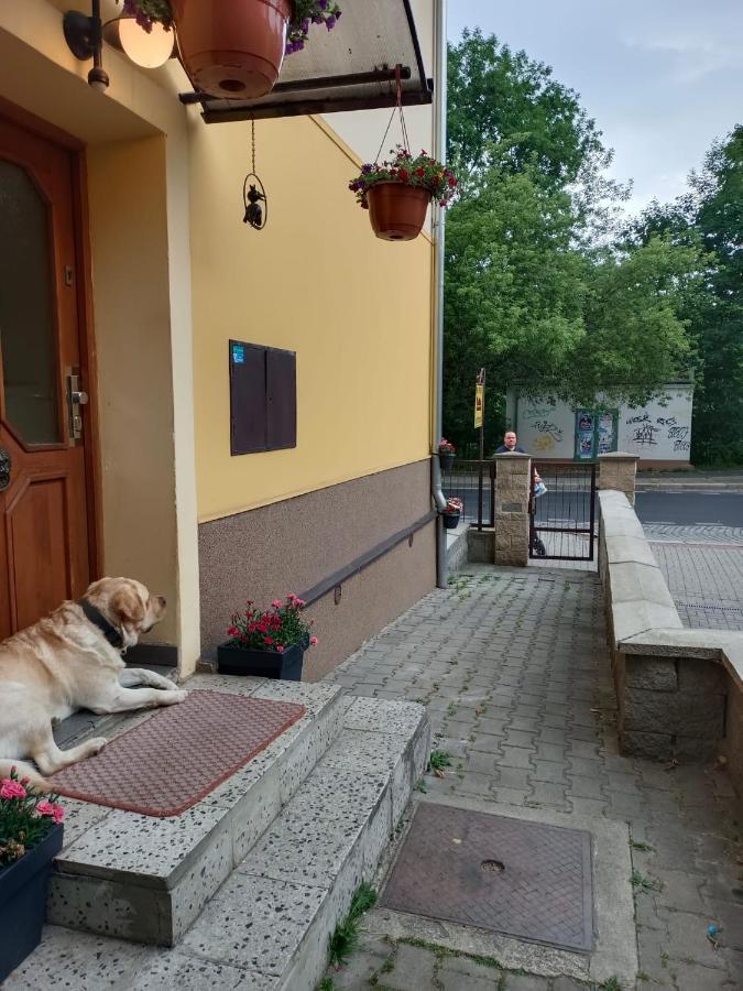 Msprivat Otel Karlovy Vary Dış mekan fotoğraf