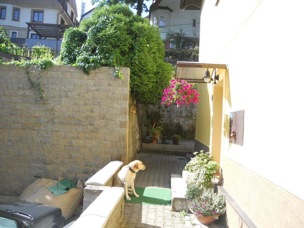Msprivat Otel Karlovy Vary Dış mekan fotoğraf